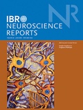 Abbildung von: IBRO Neuroscience Reports - Elsevier