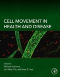 Bild: Cell Movement in Health and Disease - Academic Press