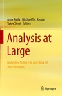 Cover: Analysis at Large - Springer