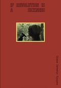 Cover: Diane Severin Nguyen - Renaissance Society at the University of Chicago