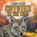 Cover: Coyotes in the Wild - Gareth Stevens Publishing