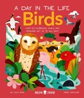 Cover: Birds (a Day in the Life) - Neon Squid