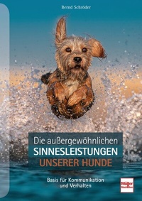 Abbildung von: Die außergewöhnlichen Sinnesleistungen unserer Hunde - Müller Rüschlikon