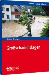 Abbildung von: Großschadenslagen - ecomed Storck