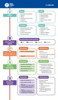 Cover: MEDI-LEARN Card: C-ABCDE - MEDI-LEARN