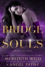 Cover: Bridge of Souls: Volume 4 - Waterhouse Press