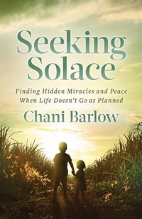 Abbildung von: Seeking Solace - Morgan James Publishing