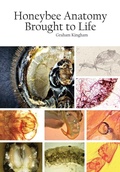 Cover: Honeybee Anatomy Brought to Life - Northern Bee Books