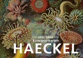 Cover: Postkarten-Set Ernst Haeckel - Anaconda Verlag