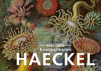 Abbildung von: Postkarten-Set Ernst Haeckel - Anaconda Verlag
