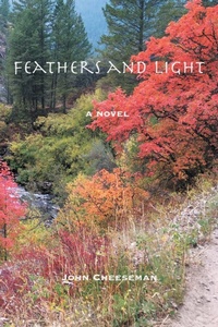 Enlarge image Cover: Feathers and Light - Booklocker.com
