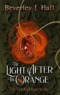 Cover: The Light after the Orange - Leirsinn Publishing