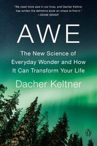 Abbildung von: Awe - Penguin Press