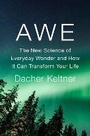 Cover: Awe - The Penguin Press