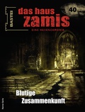 Cover: Das Haus Zamis 40 - Bastei L&uuml;bbe