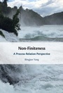 Cover: Non-Finiteness - Cambridge University Press