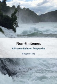 Abbildung von: Non-Finiteness - Cambridge University Press