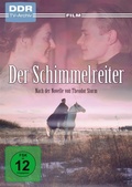 Cover: Der Schimmelreiter - Studio Hamburg