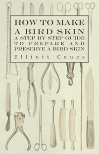 Enlarge image Cover: How to Make a Bird Skin - A Step by Step Guide to Prepare and Preserve a Bird Skin - Read Books Ltd.