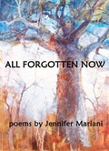 Cover: All Forgotten Now - Off Topic Publishing