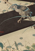 Cover: Ru - Editora &Acirc;yin&eacute;