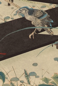 Enlarge image Cover: Ru - Editora Âyiné