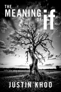 Abbildung von: The Meaning of If - OUP eBook