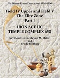 Cover: Tel Miqne 10/1 - Pennsylvania State University Press