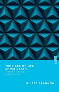 Cover: The Hope of Life After Death - A Biblical Theology of Resurrection - IVP Academic