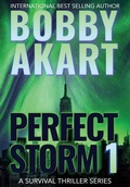 Cover: Perfect Storm 1 - IngramSpark