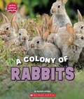 Cover: A Colony of Rabbits (Learn About: Animals) - Scholastic US