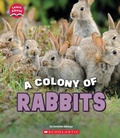 Cover: A Colony of Rabbits (Learn About: Animals) - C. Press/F. Watts Trade