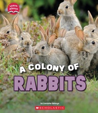 Enlarge image Cover: A Colony of Rabbits (Learn About: Animals) - C. Press/F. Watts Trade