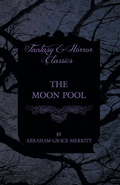Cover: The Moon Pool - Read Books Ltd.