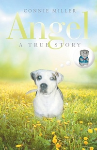 Enlarge image Cover: Angel - iUniverse