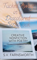 Cover: Tucked Away in a Discolored Scrapbook - Stone Wolfe Press