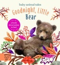 Cover: Goodnight, Little Bear - Magic Cat Publishing