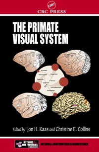 Abbildung von: The Primate Visual System - CRC Press