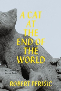 Enlarge image Cover: A Cat At the End of the World - Sandorf Passage