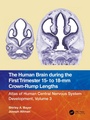 Cover: The Human Brain during the First Trimester 15- to 18-mm Crown-Rump Lengths - CRC Press