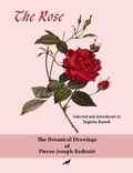 Cover: The Rose - Lone Fox Publishing
