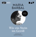 Cover: Wie ein Stein im Ger&ouml;ll - Der Audio Verlag