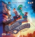 Cover: Shadow Thieves - Teil 1: Der Schatz des Magiers - Der Audio Verlag