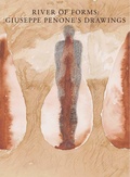 Cover: River of Forms - Yale University Press