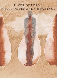 Enlarge image Cover: River of Forms - Yale University Press