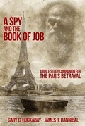 Cover: A Spy and the Book of Job - Lightraiders