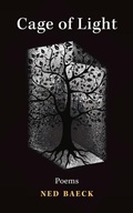 Cover: Cage of Light - Guernica Editions,Canada