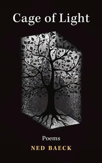 Abbildung von: Cage of Light - Guernica Editions,Canada