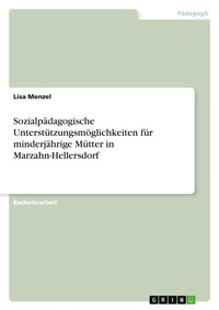 Abbildung von: Sozialpaedagogische Unterstuetzungsmoeglichkeiten fuer minderjaehrige Muetter in Marzahn-Hellersdorf - GRIN Verlag