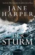 Cover: Der Sturm - Aufbau